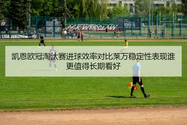 凯恩欧冠淘汰赛进球效率对比莱万稳定性表现谁更值得长期看好